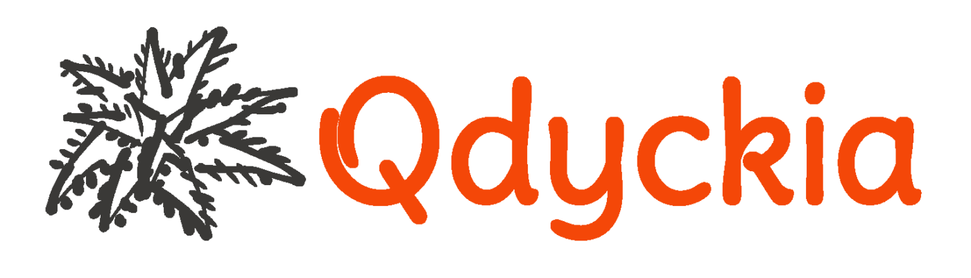 Qdyckia Shop