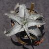 Dyckia ML Super Wide Leaf x HU-5